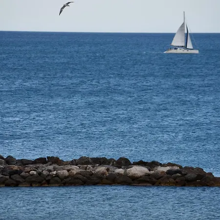 Le 29 * Le Barcarès