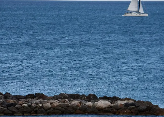 Le 29 * Le Barcarès